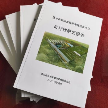 專業(yè)代寫可行性研究報告、穩(wěn)定風險評估、商業(yè)計劃書